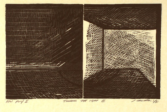 Artist: b'Marshall, Jennifer.' | Title: b'Towards the light III' | Date: 1993 | Technique: b'linocut and woodcut, printed in grey and black ink, from two blocks' Artist: b'Marshall, Jennifer.' | Title: b'Towards the light III' | Date: 1993 | Technique: b'linocut and woodcut, printed in grey and black ink, from two blocks'