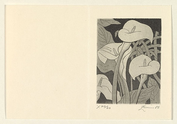 Artist: b'EWINS, Rod' | Title: b'(Arum lilies).' | Date: 1983, December | Technique: b'line-engraving and aquatint, printed in black ink, from one plate' Artist: b'EWINS, Rod' | Title: b'(Arum lilies).' | Date: 1983, December | Technique: b'line-engraving and aquatint, printed in black ink, from one plate'