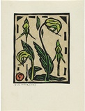 Artist: Reynell, Gladys | Title: Bush orchid, Victoria. | Date: 1923-1933 | Technique: linocut, printed in black ink, from one block; hand-coloured | Copyright: © The Estate of Gladys Reynell