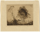 Artist: Gruner, Elioth. | Title: The wattles | Date: (1921) | Technique: drypoint, printed in black ink, from one plate