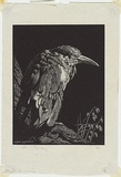 Artist: LINDSAY, Lionel | Title: The clipped wing | Date: 1931 | Technique: wood-engraving, printed in black ink, from one block | Copyright: Courtesy of the National Library of Australia