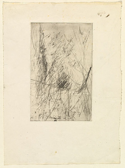 Artist: b'Halpern, Stacha.' | Title: b'not titled [Lines]' | Date: (1955-58) | Technique: b'etching, printed in black ink, from one plate'