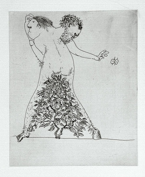 Artist: b'BOYD, Arthur' | Title: b'The survivor.' | Date: 1971 | Technique: b'etching, printed in black ink, from one plate' | Copyright: b'Reproduced with permission of Bundanon Trust'