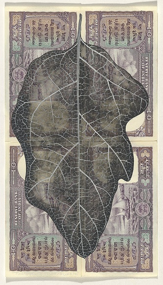 Artist: b'HALL, Fiona' | Title: b'Solanum melongena - Egglant (Indian currency)' | Date: 2000 - 2002 | Technique: b'gouache' | Copyright: b'\xc2\xa9 Fiona Hall' Artist: b'HALL, Fiona' | Title: b'Solanum melongena - Egglant (Indian currency)' | Date: 2000 - 2002 | Technique: b'gouache' | Copyright: b'\xc2\xa9 Fiona Hall'