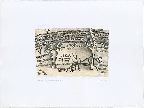 Artist: b'Bradhurst, Jane.' | Title: b'White gums and bungle bungles, Kimberley WA.' | Date: 1997 | Technique: b'lithograph, printed in colour, from multiple stones; hand-coloured' Artist: b'Bradhurst, Jane.' | Title: b'White gums and bungle bungles, Kimberley WA.' | Date: 1997 | Technique: b'lithograph, printed in colour, from multiple stones; hand-coloured'