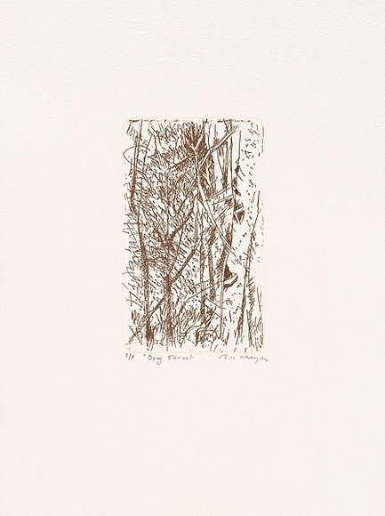 Artist: b'MEYER, Bill' | Title: b'Dry forest' | Date: 1992 | Technique: b'etching, printed in brown ink, from one zinc plate' | Copyright: b'\xc2\xa9 Bill Meyer' Artist: b'MEYER, Bill' | Title: b'Dry forest' | Date: 1992 | Technique: b'etching, printed in brown ink, from one zinc plate' | Copyright: b'\xc2\xa9 Bill Meyer'