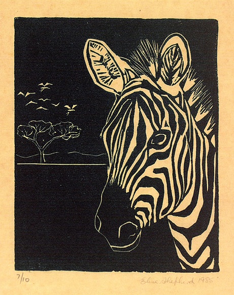 Artist: b'Shepherd, Elise.' | Title: b'no title. (Zebra)' | Date: 1985 | Technique: b'linocut, printed in green ink, from one block' Artist: b'Shepherd, Elise.' | Title: b'no title. (Zebra)' | Date: 1985 | Technique: b'linocut, printed in green ink, from one block'