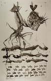 Artist: b'KING, Martin' | Title: b'Down to the sea' | Date: 1985 | Technique: b'lithograph, printed in black ink, from one stone'