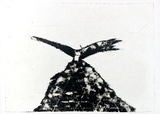 Artist: Roberts, Neil. | Title: Eruptions 28 | Date: 1991 | Technique: pigment-transfer, printed in brown ink, from one bitumen paper plate