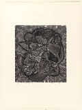 Artist: Hayward Pooaraar, Bevan. | Title: Poison fish series | Date: 1987 | Technique: linocut, printed in black ink, from one block