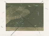 Artist: MEYER, Bill | Title: Green crossing with lines | Date: 1980-81 | Technique: screenprint, printed in four colours, from four screens (including photo-image screens) | Copyright: © Bill Meyer