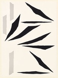 Artist: Dawson, Janet. | Title: Heidelbird flutter. | Date: 1981 | Technique: lithograph, printed in colour, from two plates | Copyright: © Janet Dawson. Licensed by VISCOPY, Australia