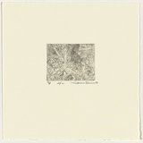 Artist: Robinson, William. | Title: Springbrook 4 | Date: 1999 | Technique: etching, printed in brown ink, from one plate