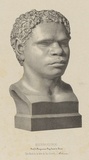 Title: b'Bourrakooroo' | Technique: b'lithograph, printed in black ink, from one stone [or plate]'