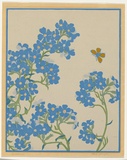 Artist: Thorpe, Hall. | Title: Anchusa | Date: c.1925 | Technique: woodcut, printed in colour, from multiple blocks