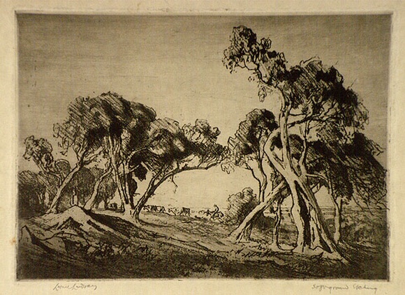 Artist: b'LINDSAY, Lionel' | Title: b'White gums' | Date: 1923 | Technique: b'softground-etching, aquatint and roulette, printed in black ink with plate-tone, from one plate' | Copyright: b'Courtesy of the National Library of Australia' Artist: b'LINDSAY, Lionel' | Title: b'White gums' | Date: 1923 | Technique: b'softground-etching, aquatint and roulette, printed in black ink with plate-tone, from one plate' | Copyright: b'Courtesy of the National Library of Australia'