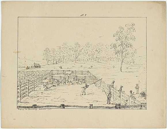 Artist: b'Fairholme, George Knight Erskine.' | Title: b'Roping for branding.' | Date: c.1853 | Technique: b'lithograph, printed in black ink, from one stone' Artist: b'Fairholme, George Knight Erskine.' | Title: b'Roping for branding.' | Date: c.1853 | Technique: b'lithograph, printed in black ink, from one stone'