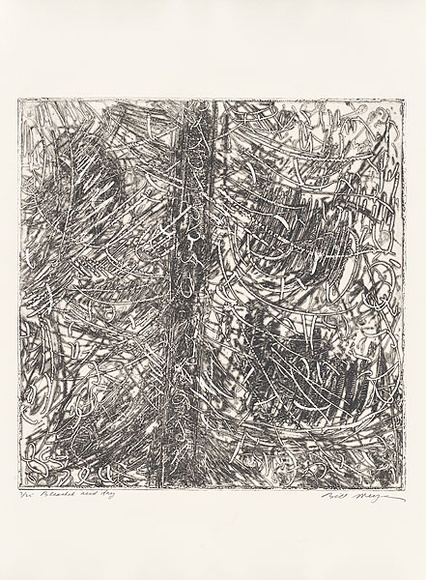 Artist: b'MEYER, Bill' | Title: b'Bleached acid day' | Date: 1981 | Technique: b'open bite etching and aquatint, printed in black ink, from one plate; engraved details' | Copyright: b'\xc2\xa9 Bill Meyer' Artist: b'MEYER, Bill' | Title: b'Bleached acid day' | Date: 1981 | Technique: b'open bite etching and aquatint, printed in black ink, from one plate; engraved details' | Copyright: b'\xc2\xa9 Bill Meyer'