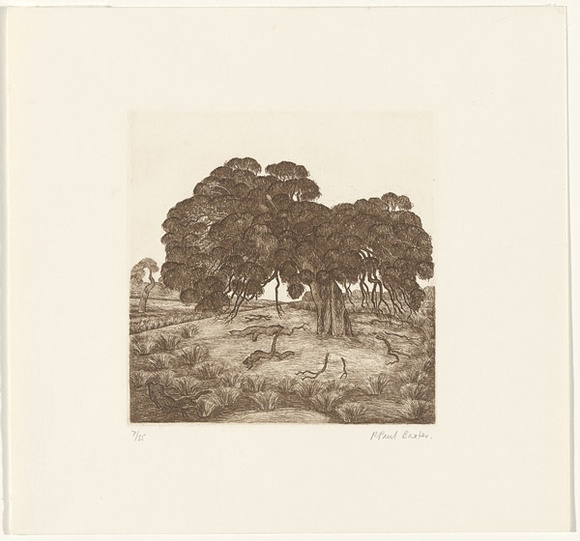 Artist: b'Baxter, Paul.' | Title: b'Tree.' | Date: 1988 | Technique: b'etching, printed in brown ink with plate-tone, from one plate' Artist: b'Baxter, Paul.' | Title: b'Tree.' | Date: 1988 | Technique: b'etching, printed in brown ink with plate-tone, from one plate'