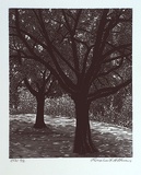 Artist: b'Atkins, Ros.' | Title: b'not titled [two trees]' | Date: 2001, February | Technique: b'linocut, printed in black ink, from one block'