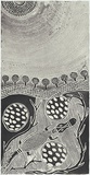 Artist: Gurruwiwi, Djalu. | Title: Gapu, tubig, air, water II | Date: 1999 | Technique: etching and aquatint, printed in black in, from one plate