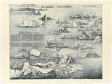 Artist: SCHMEISSER, Jorg | Title: Diary and icebergs | Date: 1998 | Technique: etching, printed in blue/black ink, from four plates, on one sheet | Copyright: © Jörg Schmeisser