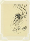 Artist: Whiteley, Brett. | Title: Swinging monkey [1]. | Date: 1965 | Technique: screenprint, printed in colour, from three screen | Copyright: This work appears on the screen courtesy of the estate of Brett Whiteley