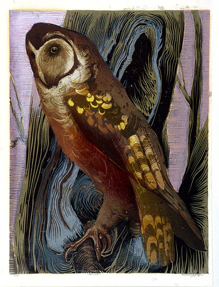 Artist: b'Griffin, Murray.' | Title: b'The owl' | Date: 1966 | Technique: b'linocut, printed in colour, from multiple blocks'