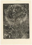 Artist: b'GRIFFITH, Pamela' | Title: b'Night watch' | Date: 1980 | Technique: b'etching, soft ground, spray resist, printed in black ink, from one zinc plate' | Copyright: b'\xc2\xa9 Pamela Griffith'