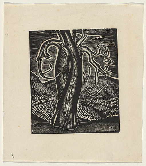Artist: b'Rosenstengel, Paula.' | Title: b'Horse chestnut, Capel-y-ffin' | Date: c.1940 | Technique: b'wood-engraving, printed in black ink, from one block' Artist: b'Rosenstengel, Paula.' | Title: b'Horse chestnut, Capel-y-ffin' | Date: c.1940 | Technique: b'wood-engraving, printed in black ink, from one block'
