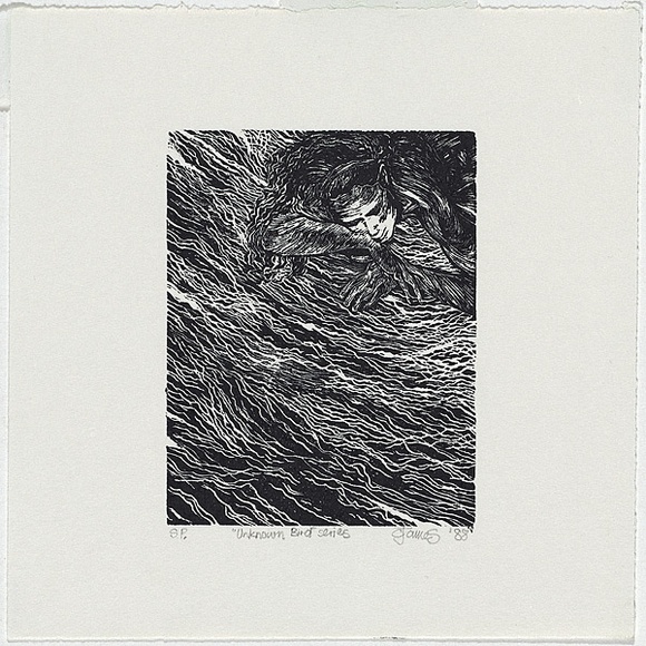 Artist: b'JAMES, C' | Title: b'Unknown bird series' | Date: 1988 | Technique: b'woodblock, printed in black ink, from one black ink'