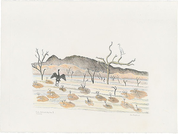 Artist: b'Bradhurst, Jane.' | Title: b'Darter, egret and lily pond, Kimberley.' | Date: 1997 | Technique: b'lithograph, printed in black ink, from one stone; hand-coloured in watercolour' Artist: b'Bradhurst, Jane.' | Title: b'Darter, egret and lily pond, Kimberley.' | Date: 1997 | Technique: b'lithograph, printed in black ink, from one stone; hand-coloured in watercolour'