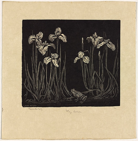 Artist: b'LINDSAY, Lionel' | Title: b'Flag lillies' | Date: 1925 | Technique: b'wood-engraving, printed in black ink, from one block' | Copyright: b'Courtesy of the National Library of Australia' Artist: b'LINDSAY, Lionel' | Title: b'Flag lillies' | Date: 1925 | Technique: b'wood-engraving, printed in black ink, from one block' | Copyright: b'Courtesy of the National Library of Australia'