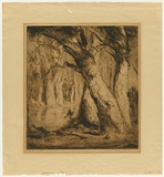 Artist: van RAALTE, Henri | Title: Banks and boles | Date: 1920 | Technique: drypoint, printed in brown ink with plate-tone, from one plate