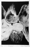 Artist: b'Malm, Wayne.' | Title: b'Embrace' | Date: 1989 | Technique: b'etching and aquatint, printed in black ink, from one copper plate'