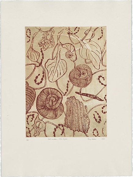 Artist: b'Watson, Judy.' | Title: b'Shell midden, swan lagoon' | Date: 2005 | Technique: b'etching, printed in colour, from two plates' | Copyright: b'\xc2\xa9 Judy Watson. Licensed by VISCOPY, Australia'