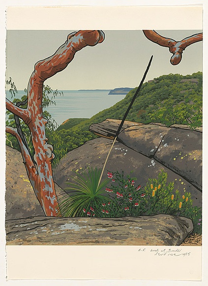 Artist: b'Rose, David.' | Title: b'Bush at Bouddi' | Date: 1985 | Technique: b'screenprint, printed in colour, from multiple stencils' Artist: b'Rose, David.' | Title: b'Bush at Bouddi' | Date: 1985 | Technique: b'screenprint, printed in colour, from multiple stencils'