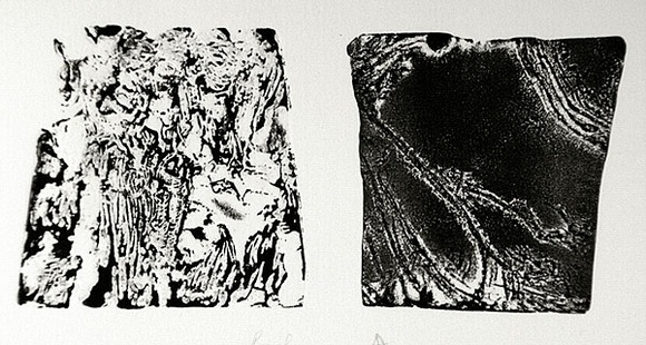 Artist: b'Shearer, Mitzi.' | Title: b'not titled' | Technique: b'etching, printed in black ink, from two  plates'