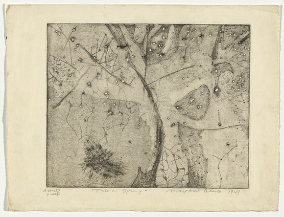 Artist: b'Cilento, Margaret.' | Title: b'Tree in spring.' | Date: 1949 | Technique: b'etching and aquatint, printed in black ink with plate-tone, from one plate' Artist: b'Cilento, Margaret.' | Title: b'Tree in spring.' | Date: 1949 | Technique: b'etching and aquatint, printed in black ink with plate-tone, from one plate'