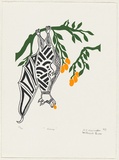 Artist: Warradoo, Geoffrey. | Title: Kaampi | Date: 1997, August | Technique: screenprint, printed in colour, from multiple stencils