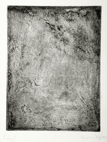 Artist: b'Shearer, Mitzi.' | Title: b'not titled' | Date: 1984 | Technique: b'etching, printed in black ink, from one  plate'