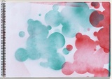 Title: Chickenpox | Date: 2003-2004 | Technique: stencil, printed with colour aerosol paint, from multiple stencils