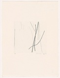 Artist: MOSS, Damian | Title: Trees 2 | Date: 2004 | Technique: etching, printed in black ink, from one plate