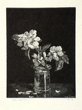 Artist: LINDSAY, Lionel | Title: Apple blossom | Date: 1924 | Technique: wood-engraving, printed in black ink, from one block | Copyright: Courtesy of the National Library of Australia