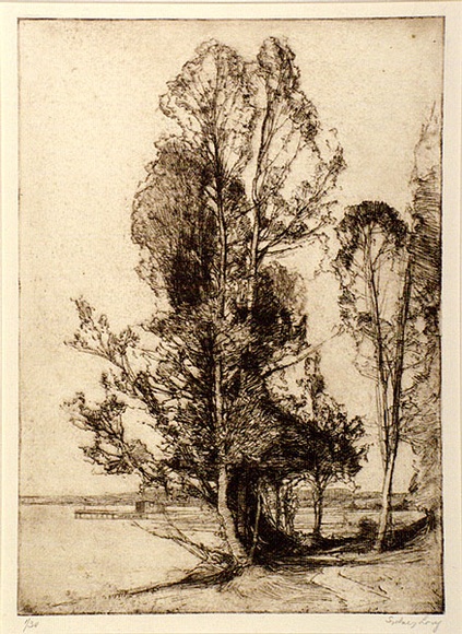 Artist: b'Long, Sydney.' | Title: b'Brisbane water' | Date: 1925 | Technique: b'line-etching, printed in brown ink, from one copper plate' | Copyright: b'Reproduced with the kind permission of the Ophthalmic Research Institute of Australia' Artist: b'Long, Sydney.' | Title: b'Brisbane water' | Date: 1925 | Technique: b'line-etching, printed in brown ink, from one copper plate' | Copyright: b'Reproduced with the kind permission of the Ophthalmic Research Institute of Australia'