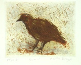 Artist: Bragge, Anita. | Title: Quail | Date: 1998, October | Technique: aquatint, sugarlift and drypoint, printed in colour, from three plates