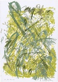 Artist: MEYER, Bill | Title: Bush study green | Date: 1987 | Technique: screenprint, printed in colour, from multiple stencils (indirect reduction) | Copyright: © Bill Meyer