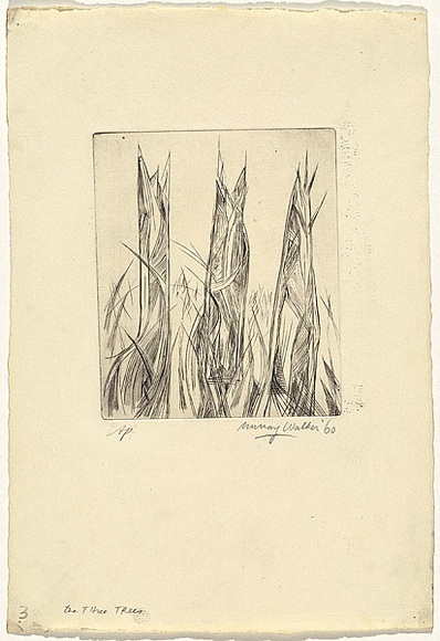 Artist: b'WALKER, Murray' | Title: b'The three trees' | Date: 1960 | Technique: b'etching, printed in black ink, from one plate'