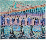 Artist: b'Bancroft, Bronwyn.' | Title: b'Cloud over past generations.' | Date: 1991 | Technique: b'screenprint, printed in colour, from multiple screens' | Copyright: b'\xc2\xa9 Bronwyn Bancroft. Licensed  by VISCOPY, Australia'