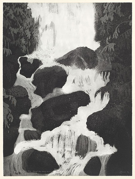Artist: b'EWINS, Rod' | Title: b'Small Akaka Falls.' | Date: 1990 July | Technique: b'spraycan aquatint, printed in black ink, from one steel plate' Artist: b'EWINS, Rod' | Title: b'Small Akaka Falls.' | Date: 1990 July | Technique: b'spraycan aquatint, printed in black ink, from one steel plate'